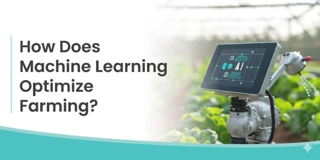 How Does Machine Learning Optimize Farming?